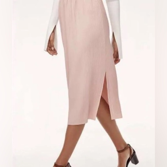 Wilfred Dresses & Skirts - nwt Wilfred “ Celesse Pleated Skit” size L